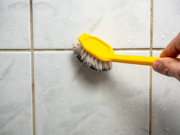 Best Local Mold Removal Service  in Halifax, VA
