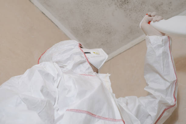 Best Professional Mold Removal  in Halifax, VA
