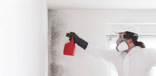 Best Mold Testing  in Halifax, VA